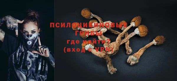 индика Покровск