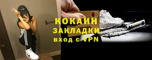 индика Покровск
