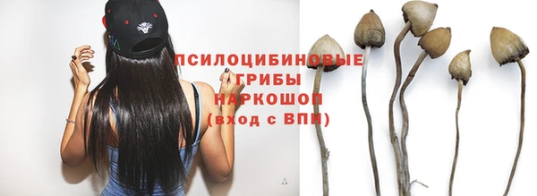 герыч Пестово