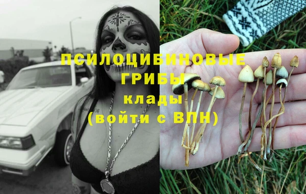 индика Покровск
