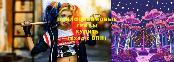 бошки Покачи