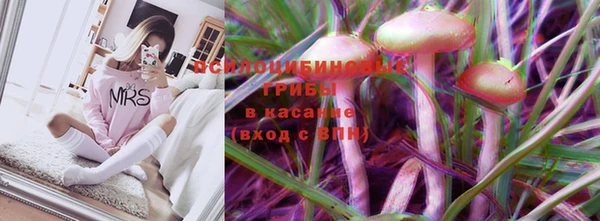 герыч Пестово