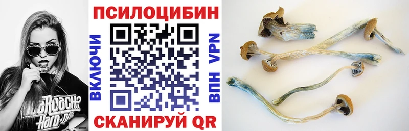 Псилоцибиновые грибы Cubensis  мега как зайти  Боровск 