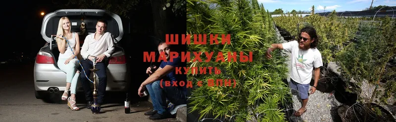 Канабис White Widow  Боровск 